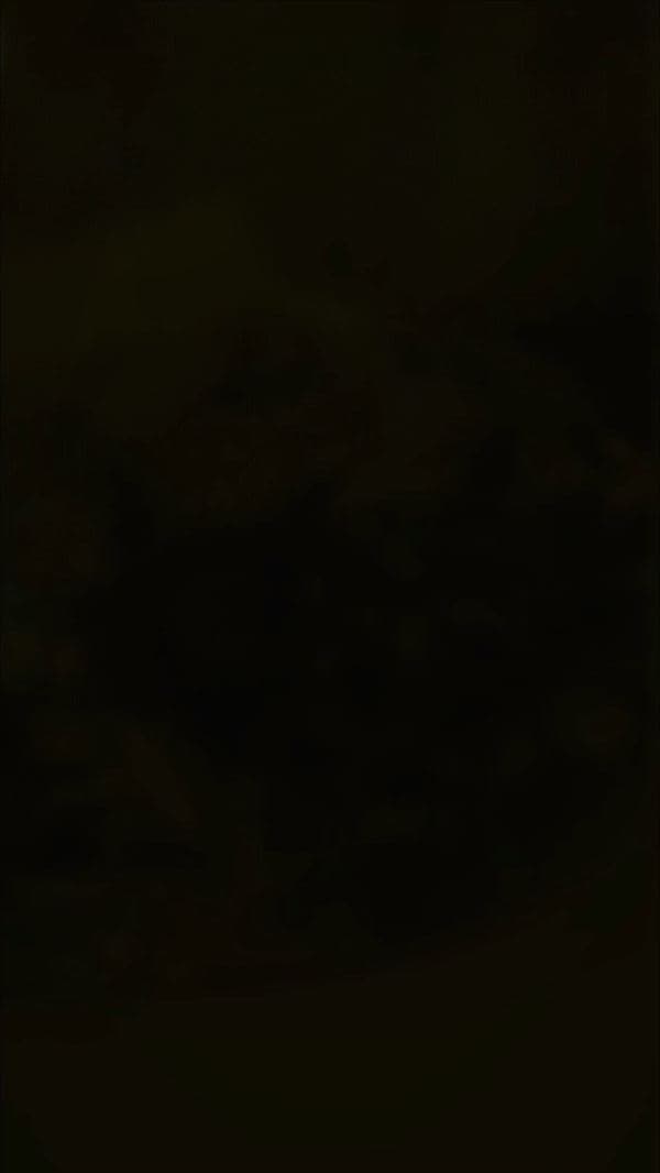 Foldo Sandwich - Video 6